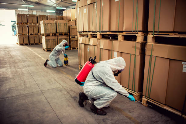 Best Pest Control Near Me in Clermont, FL