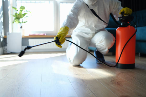 Flea Control Services in Clermont, FL