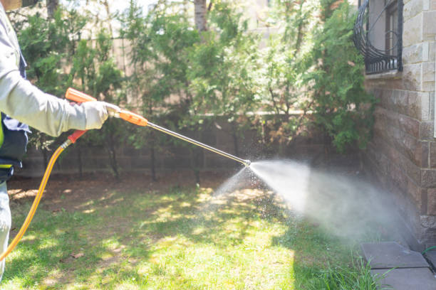 Best Termite Control Services  in Clermont, FL