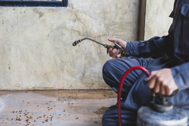 Best Best Pest Control Near Me  in Clermont, FL